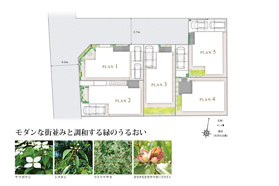 ※写真はイメージです。