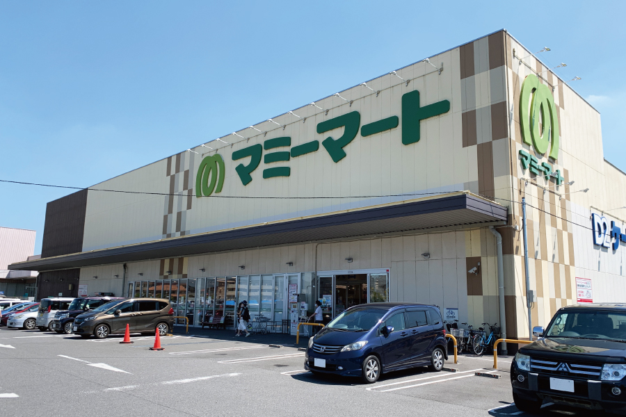 キャスト流山セントラルパーク 千葉県流山市 新築一戸建て分譲住宅 ポラスグループ Polus