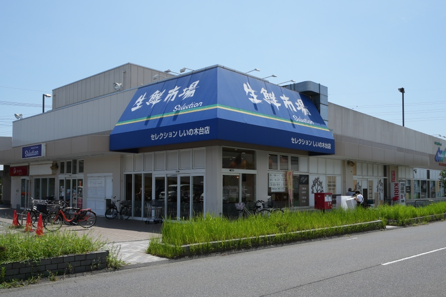 セレクションしいの木台店