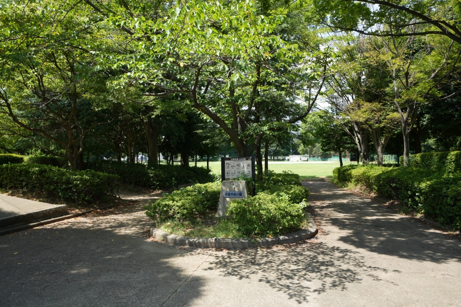 六実中央公園