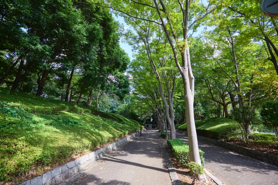南部公園