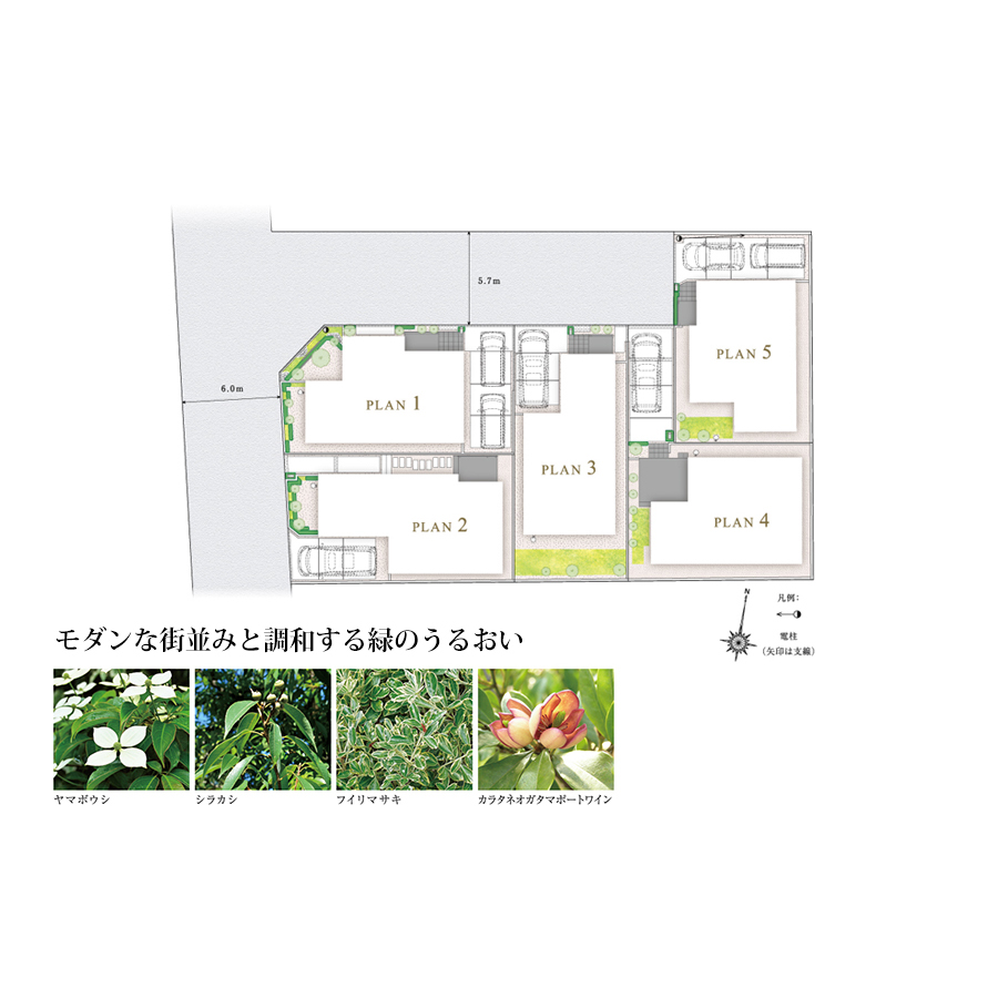 ※写真はイメージです