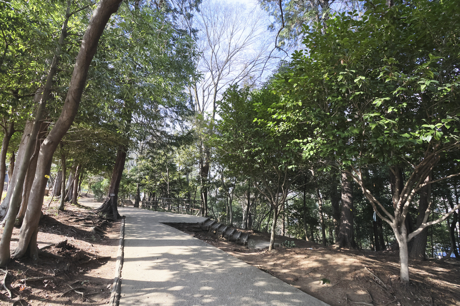 滝の根公園