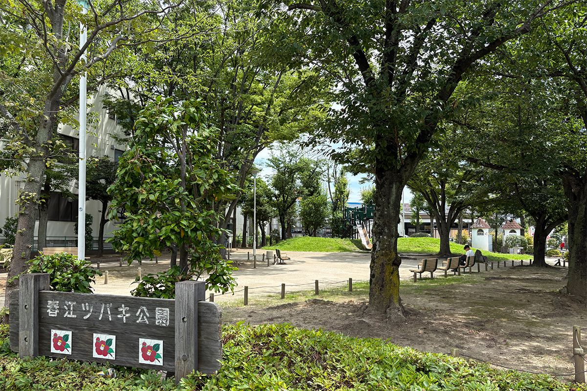 春江ツバキ公園