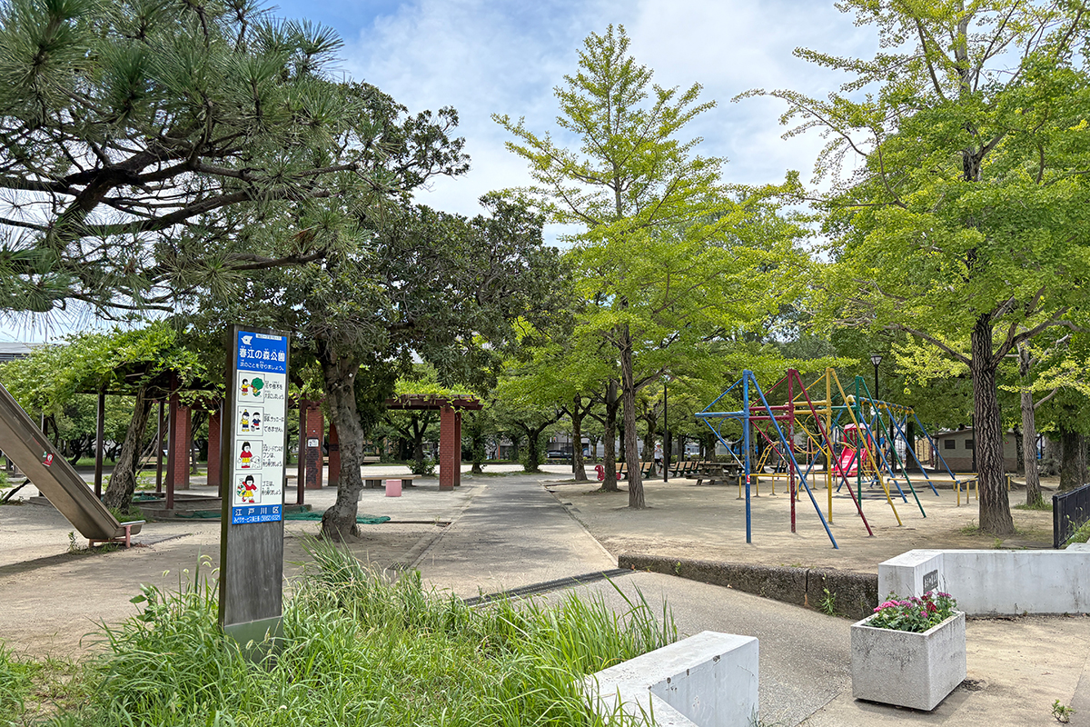 春江の森公園