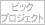 ビックプロジェクト
