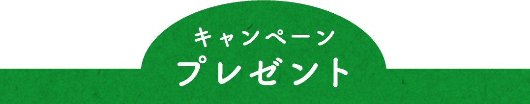 キャンペーン プレゼント