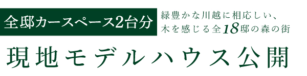 フレーベスト川越 クロスビュー