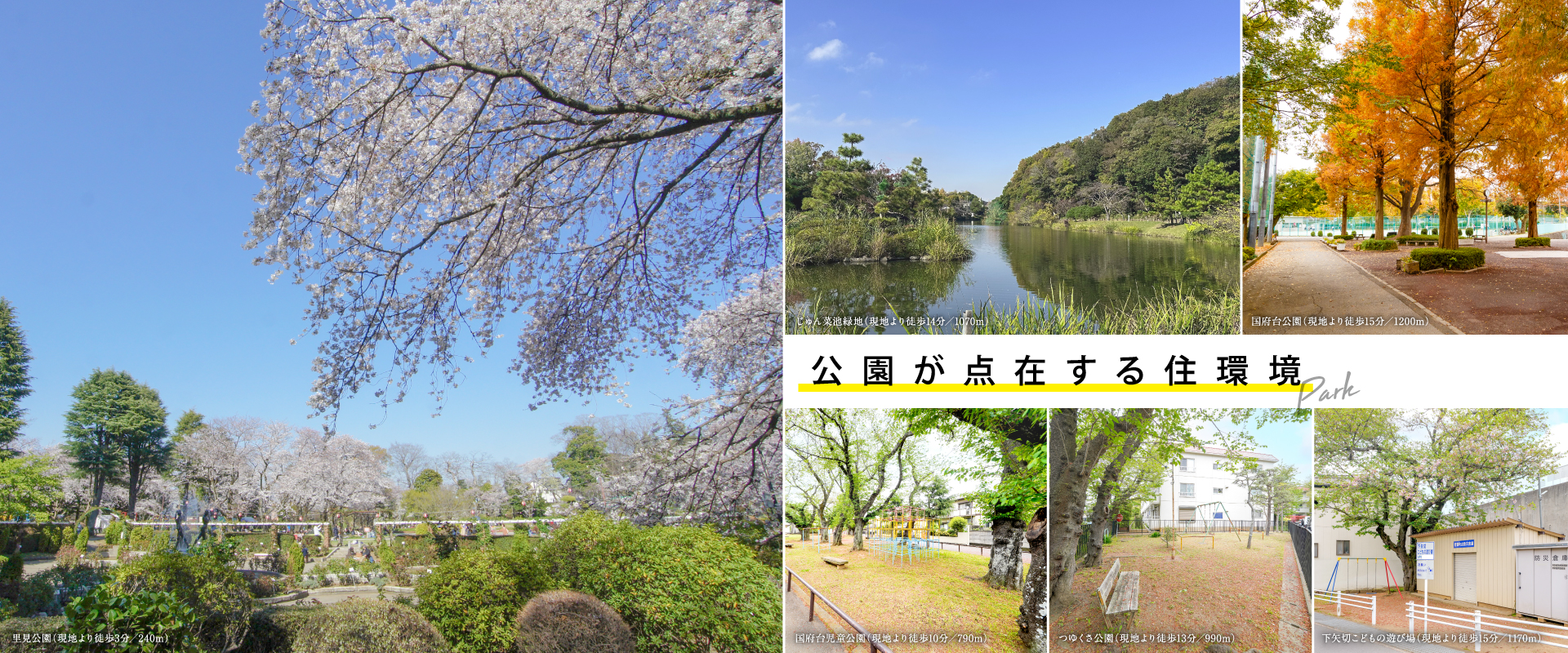 2025年4月撮影