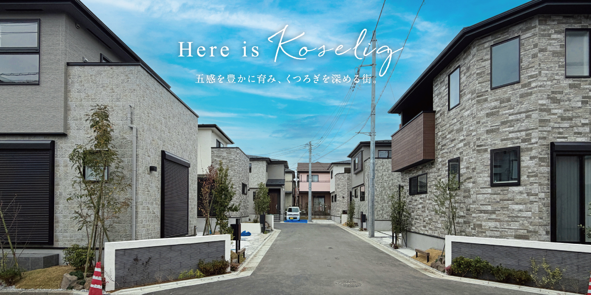 ※現地外観写真(2025年10月撮影)