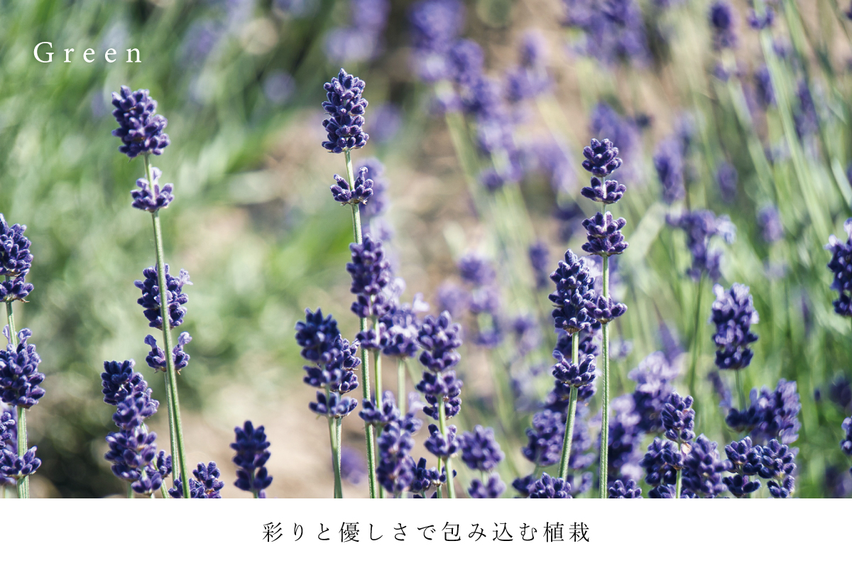 画像はイメージです。