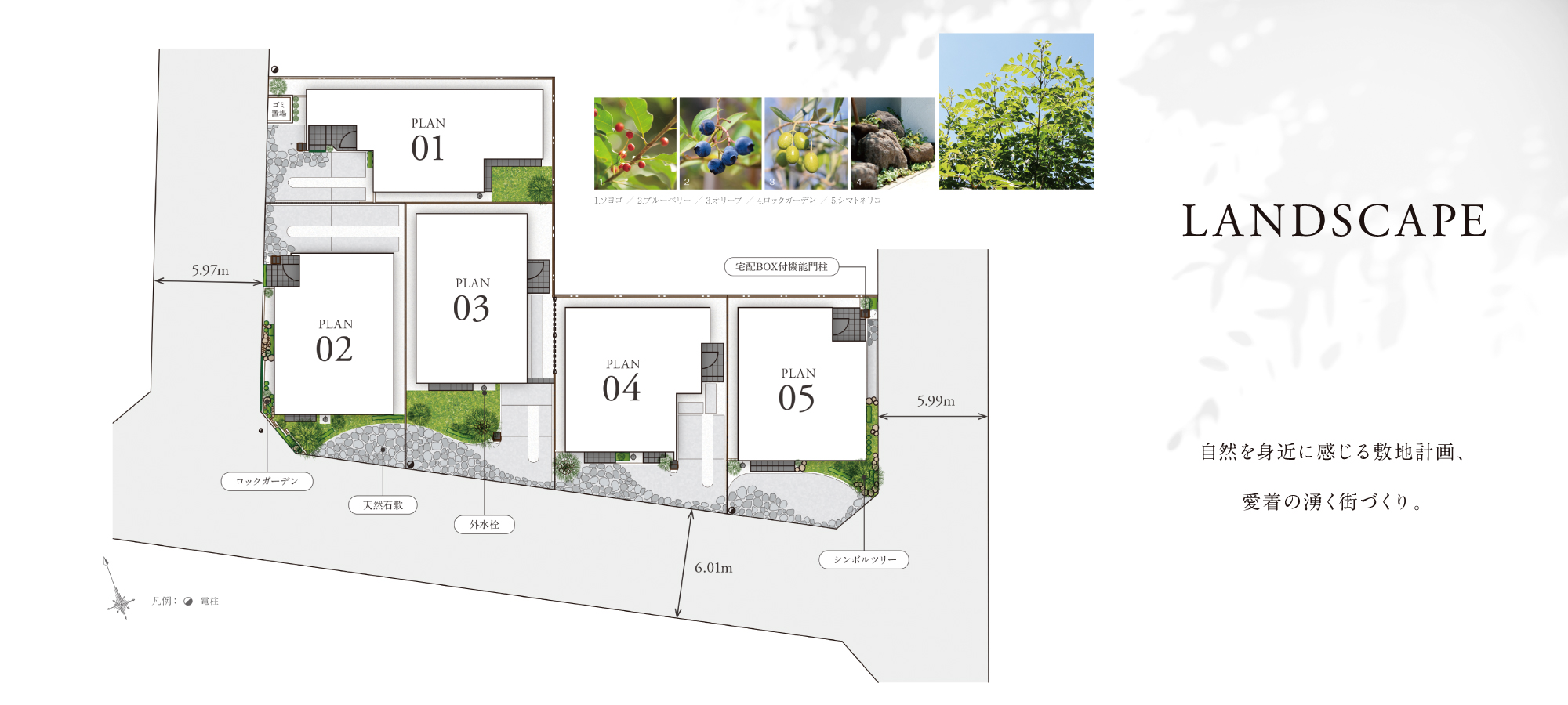 ※掲載の写真はイメージです。