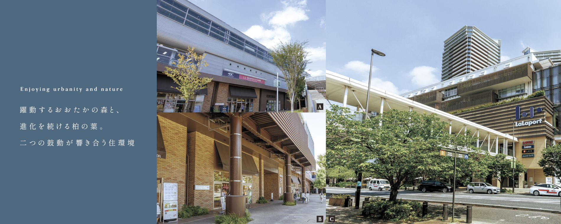 A.流山おおたかの森駅/5,890m B.こかげテラス/6,010m C.ららぽーと柏の葉/2,300m