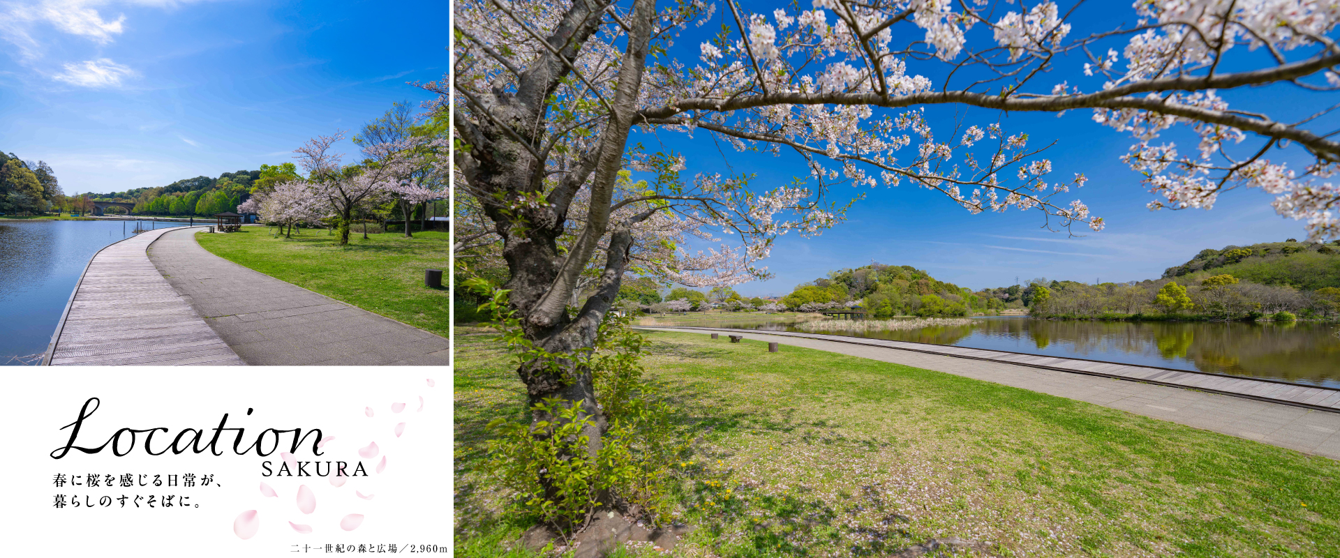 ※掲載のパースは図面を基に描き起こしたもので実際とは多少異なります。