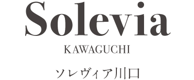 ソレヴィア川口