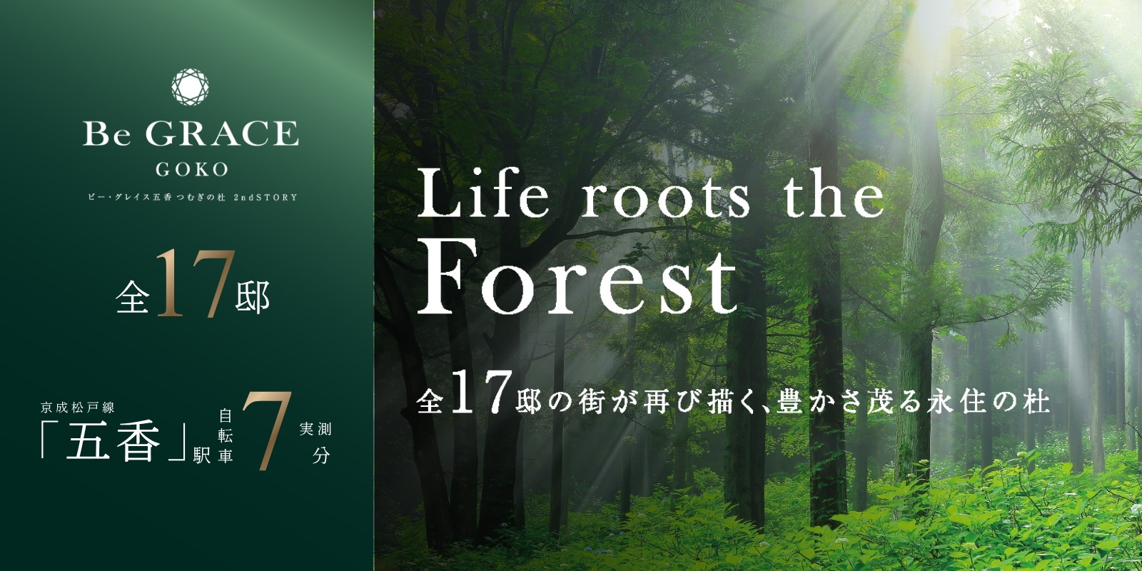 ※掲載の写真はイメージです。