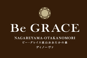 ビー・グレイス流山おおたかの森 ディノーヴァ