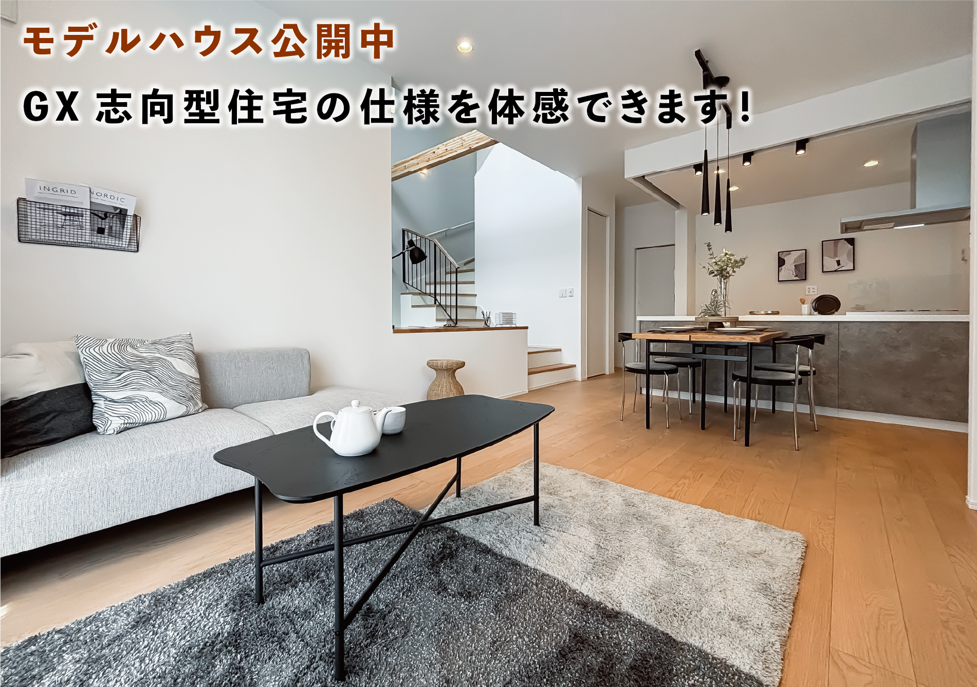 2026年6月撮影
