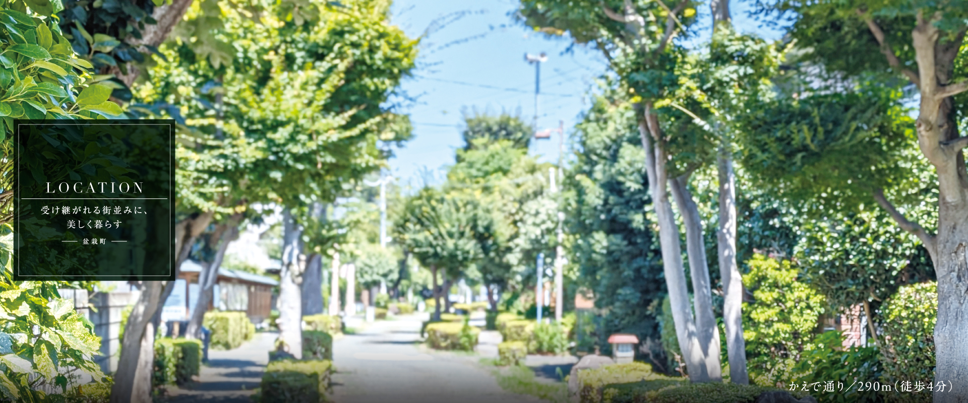 ポラスの分譲住宅 すみかプラス 大宮公園・盆栽町