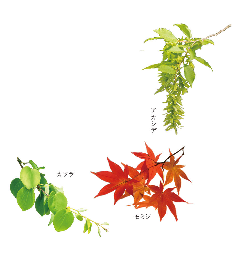 植栽計画