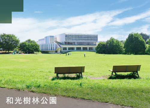 和光樹林公園
