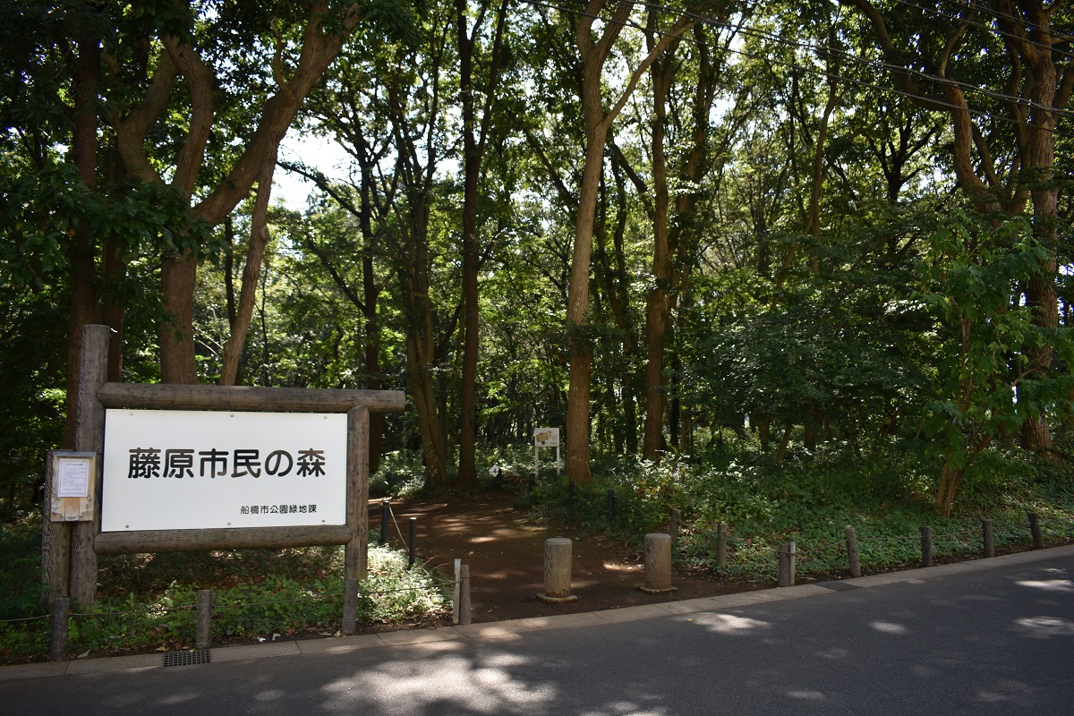 リーズン船橋 馬込沢 ヒュッゲの森 千葉県船橋市 新築一戸建て分譲住宅 ポラスグループ Polus リーズン船橋 馬込沢 ヒュッゲの森 千葉県船橋市 新築一戸建て分譲住宅 ポラスグループ Polus