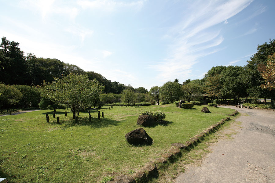 越谷梅林公園 越谷梅林公園