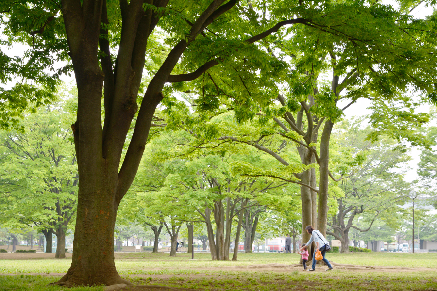 新小岩公園 新小岩公園