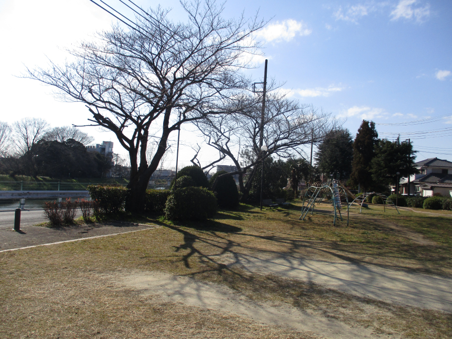 大沢公園