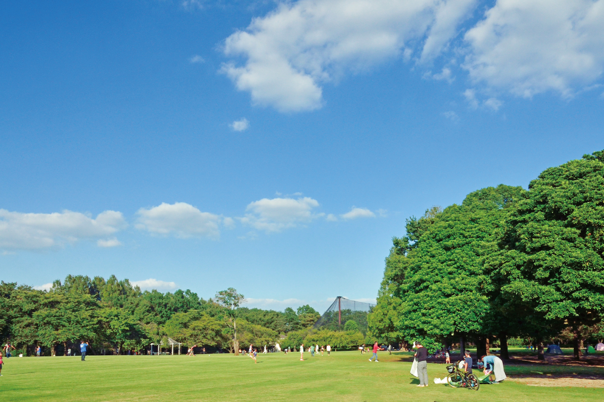 【市民の森・見沼グリーンセンター】 【市民の森・見沼グリーンセンター】