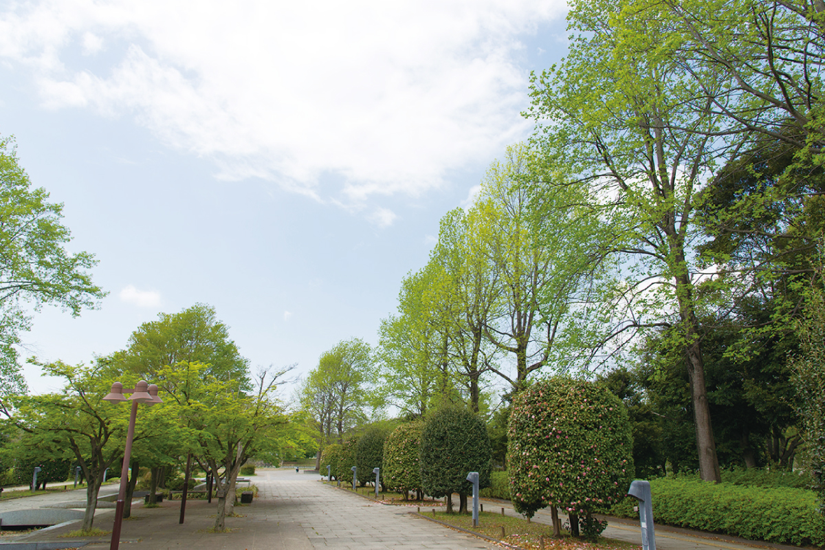 千葉県立柏の葉公園