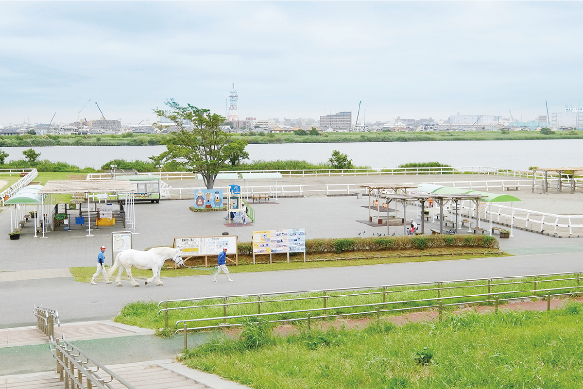 篠崎ポニーランド