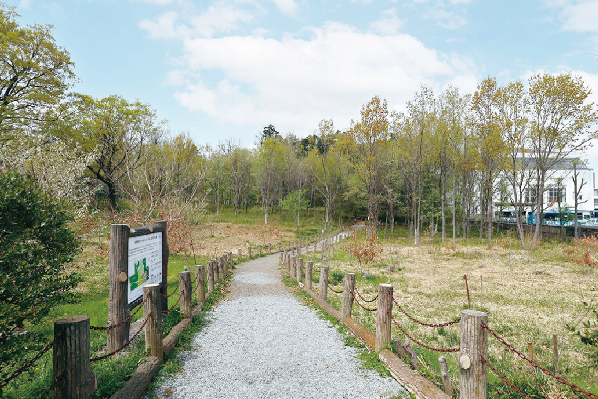 西原自然公園 西原自然公園
