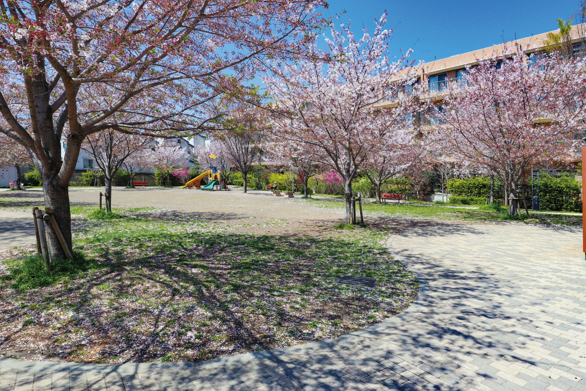 【領家立野公園】