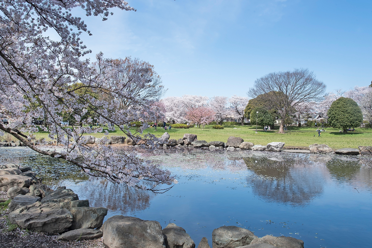 見沼氷川公園