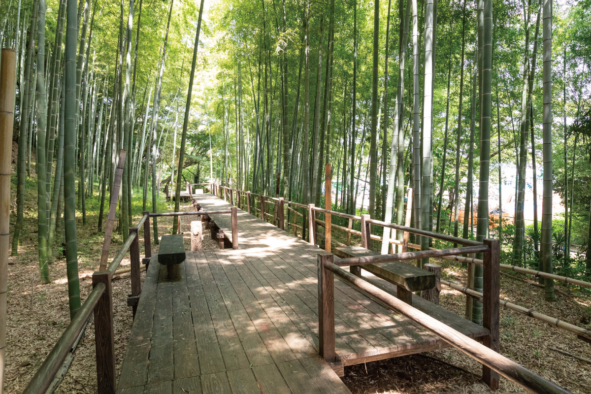 【見沼通船堀公園】