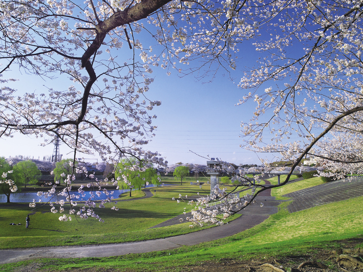 【大和田公園】 【大和田公園】