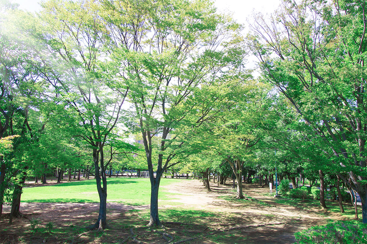 松葉第二近隣公園