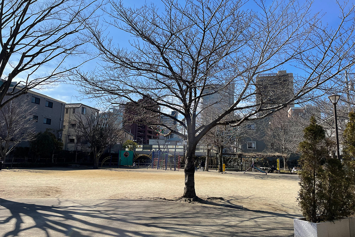 篠崎二丁目公園