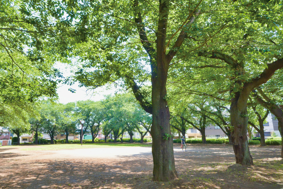 みずほ台中央公園