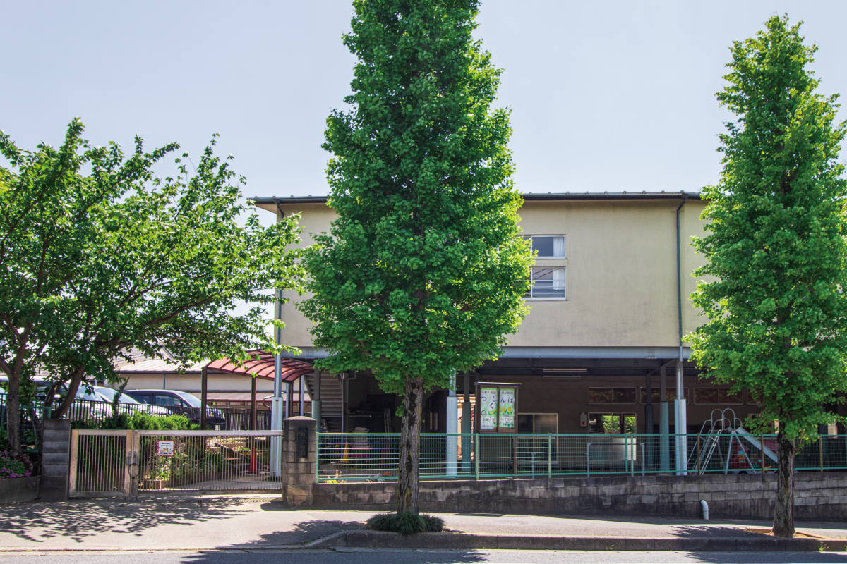 八照幼稚園 八照幼稚園