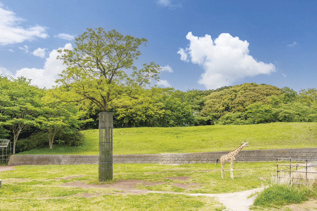 千葉市動物公園