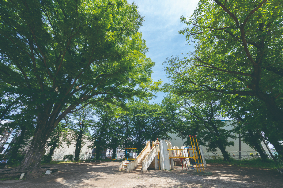 新開公園 新開公園