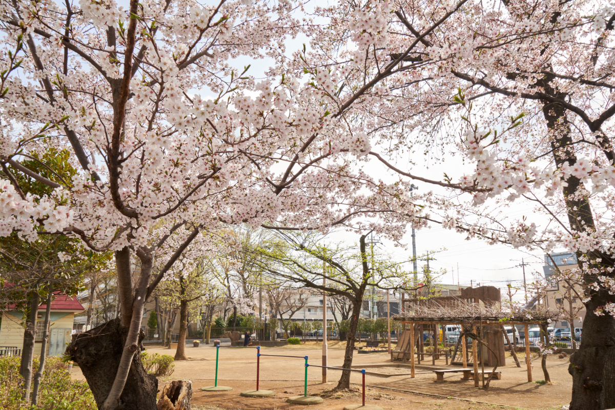 からさわ公園 からさわ公園