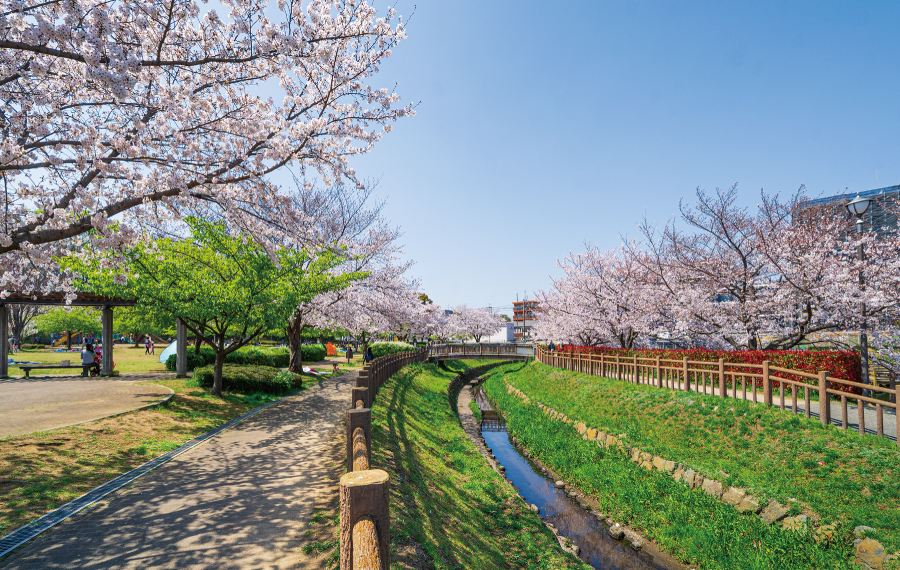 【井沼方公園】 【井沼方公園】