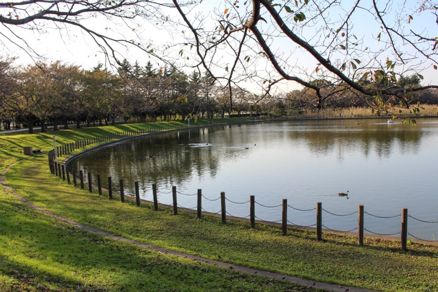 埼玉県県民健康福祉村 埼玉県県民健康福祉村
