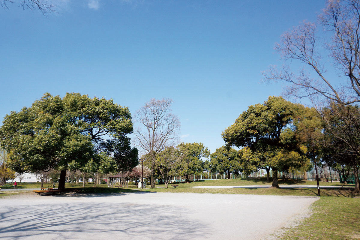 篠崎公園(B地区)