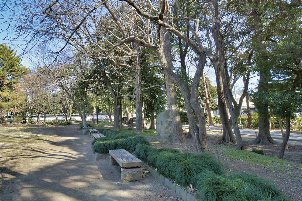 緑の森公園 緑の森公園