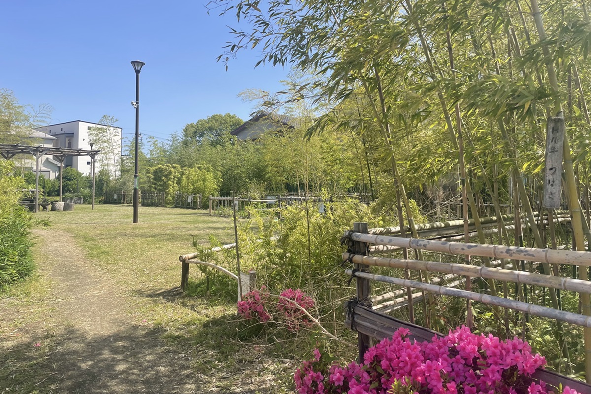 竹と親しむ広場