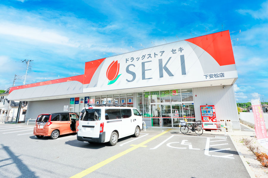 ドラッグストアセキ下安松店